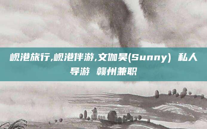 磐石岘港旅行,岘港伴游,文伽昊(Sunny) 私人导游 赣州兼职