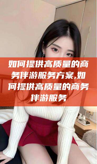 磐石如何提供高质量的商务伴游服务方案,如何提供高质量的商务伴游服务